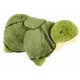 Tardy Turtle